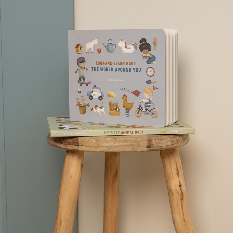 Livro em Inglês: Vê e Aprende – O Mundo em Redor – Little Dutch